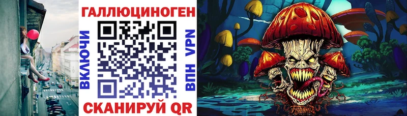 Галлюциногенные грибы Cubensis  Волгореченск 